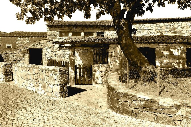 Fatima Guided Private Half day Tour - Price and value: what $192.66 buys you in real-world comfort