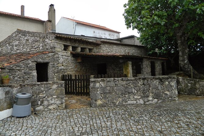 Fatima Half Day Private Tour from Lisbon - Who this tour is best for (and who should choose differently)