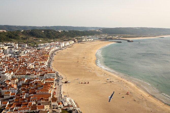 Fatima Sanctuary, Pena Palace & Nazare's Big Wave from Lisbon - Fátima: spiritual center plus real lunch time