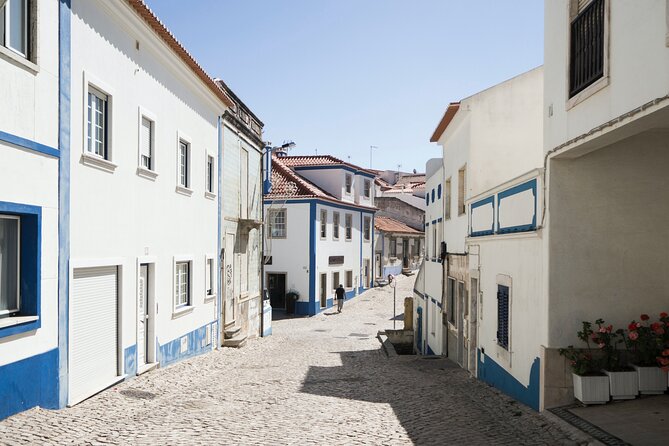 From Lisboa: Mafra, Ericeira & Queluz Small-Group Full Day Tour - Price and value: what $95.31 really covers (and what’s extra)