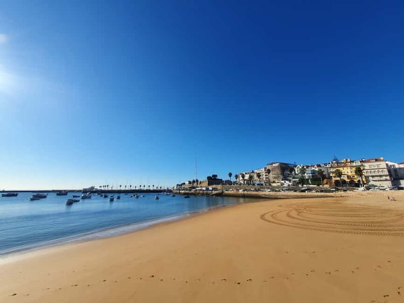 From Lisboa: Sintra, Cabo da Roca & Cascais Full Day Tour - Price and Logistics: $100 Can Make Sense If You Hate Planning