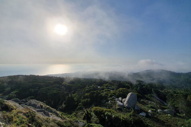 From Lisboa: Sintra, Cabo da Roca & Cascais Private Full Day Tour - Choosing One Monument: Regaleira and Monserrate Without the Time Trap