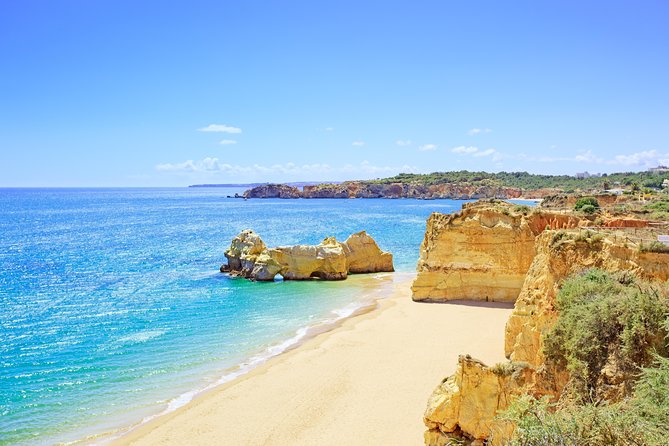 From Lisbon: Algarve Private Tour to Portimao, Lagos and Sagres - Portimão Marina and the city feel: seafood culture with real landmarks