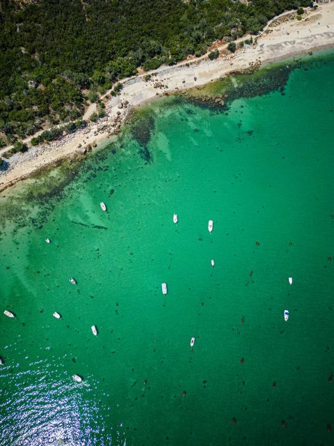 From Lisbon: Arrábida, Azeitão, Sesimbra, Palmela, Setúbal … - Setúbal and the Sado River: the Portugal fact you’ll remember
