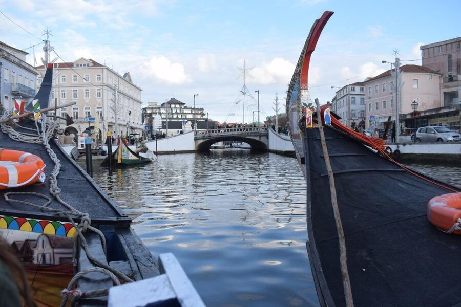 From Lisbon: Aveiro and Coimbra Food Experience - Quick hits before you go