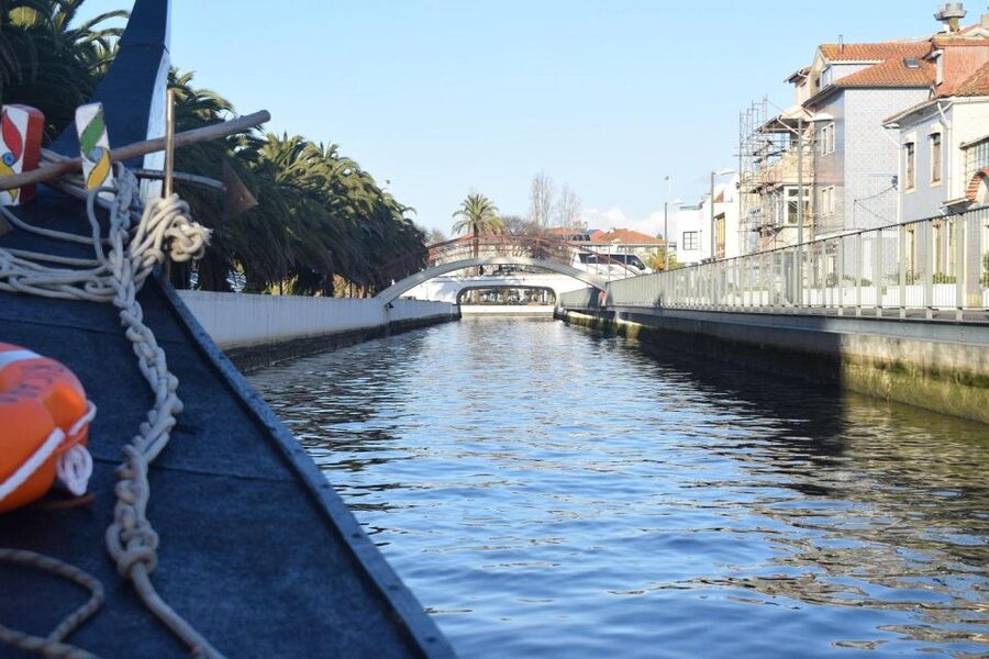 From Lisbon: Aveiro and Coimbra Food Experience - How this 12-hour Aveiro–Coimbra day fits a Lisbon trip