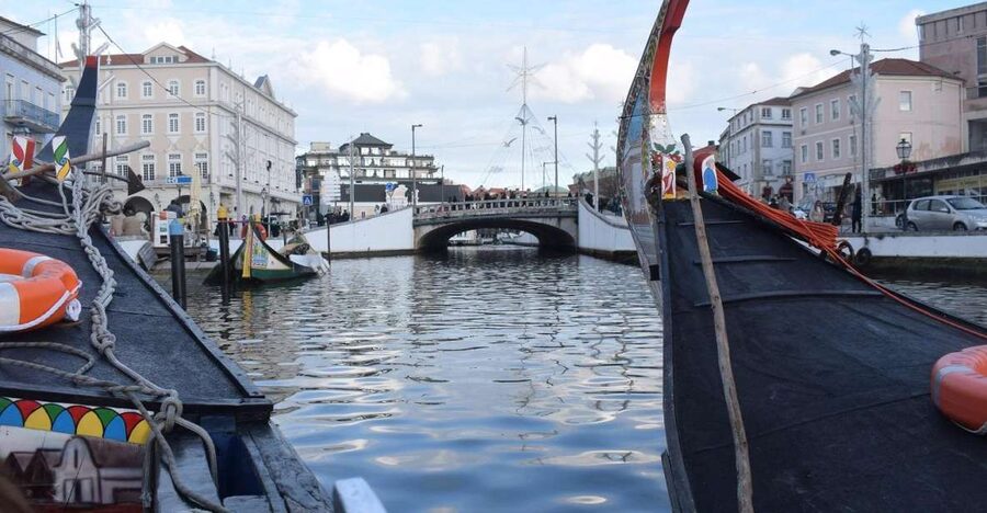 From Lisbon: Aveiro and Coimbra Food Experience - Costa Nova Beach or Aveiro monuments: how to choose your next 60–90 minutes