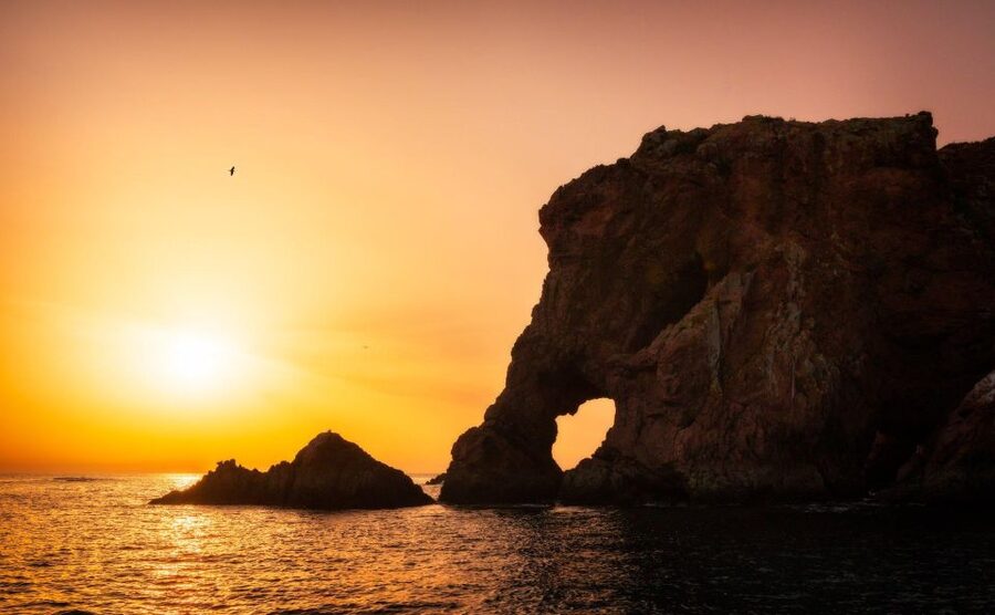 From Lisbon: Berlenga Grande Island Private Tour - Key things to know before you go