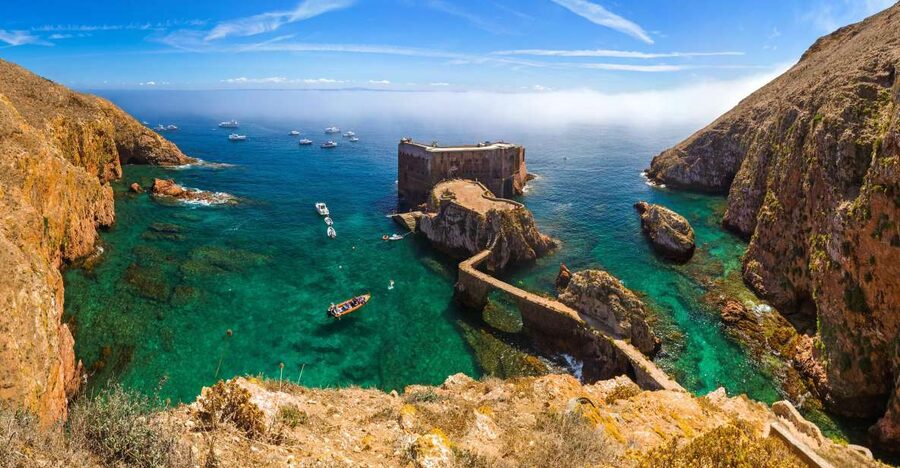 From Lisbon: Berlenga Grande Island Private Tour - A private schedule that links sea, nature paths, and Óbidos walls