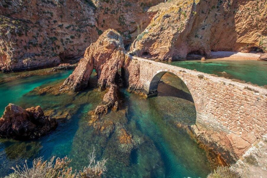 From Lisbon: Berlenga Grande Island Private Tour - Price and logistics: is $222 per person good value?