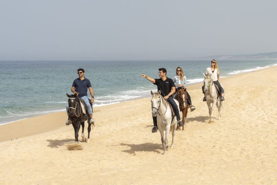 From Lisbon: Comporta and Setúbal Trip with Horseback Riding - Key points I’d prioritize