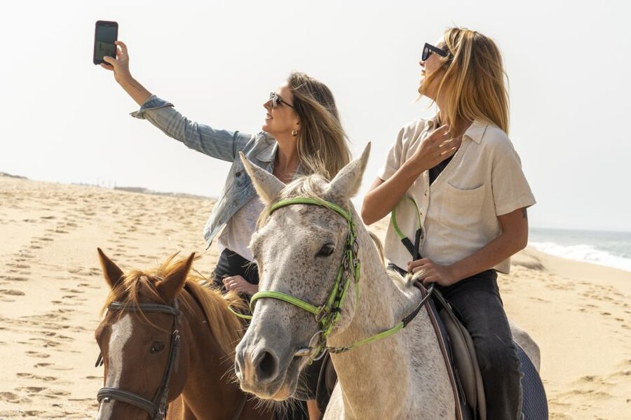 From Lisbon: Comporta and Setúbal Trip with Horseback Riding - Mercado do Livramento and Setúbal’s sea-town soul
