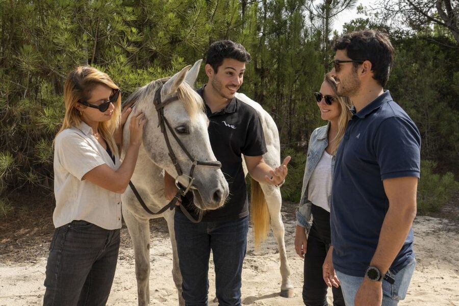 From Lisbon: Comporta and Setúbal Trip with Horseback Riding - Timing that actually makes sense in your 6 hours