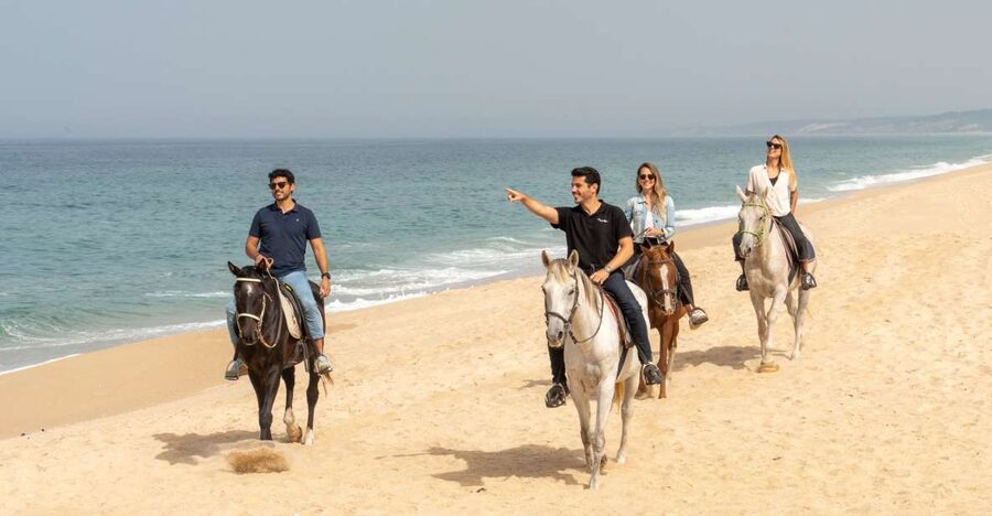 From Lisbon: Comporta and Setúbal Trip with Horseback Riding - From Praça Marquês de Pombal: the van ride rhythm