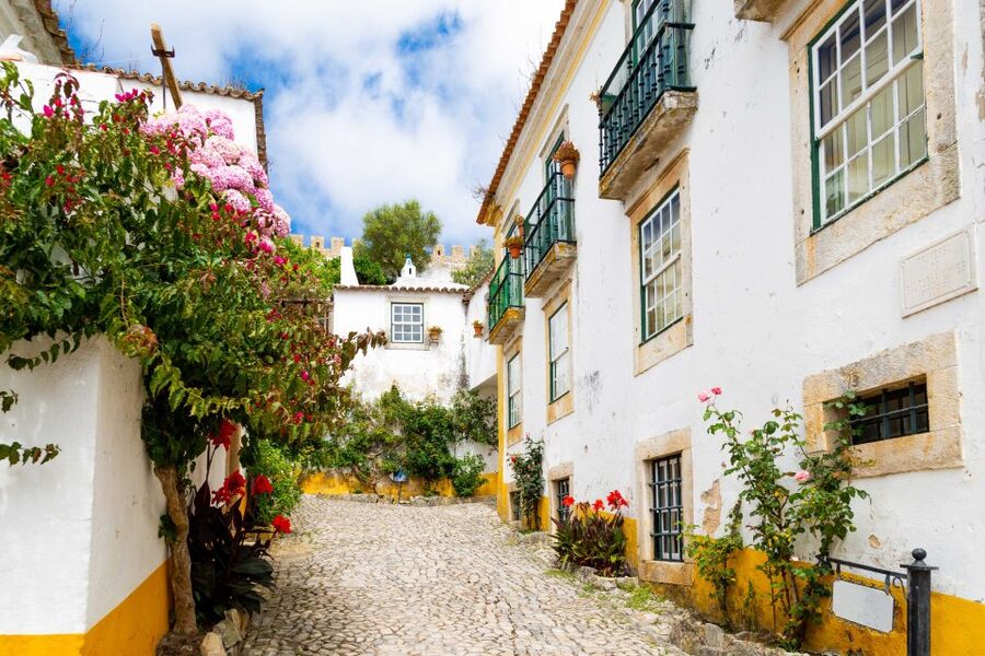 From Lisbon: Day Trip to Porto, Óbidos, and Nazaré - Price and value: is $97 for Porto, Óbidos, and Nazaré a good deal?