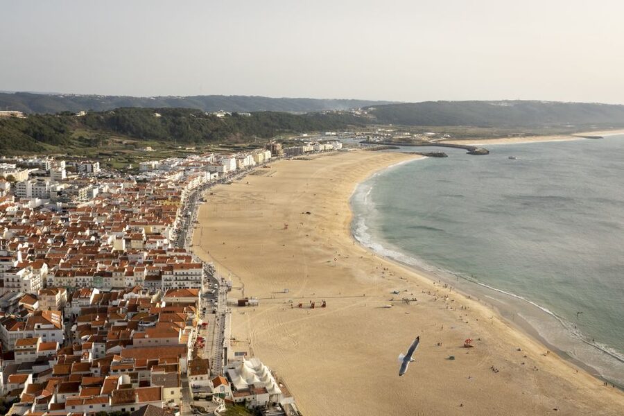 From Lisbon: Day Trip to Porto, Óbidos, and Nazaré - Lunch on your own in Porto: use the hour, don’t lose it