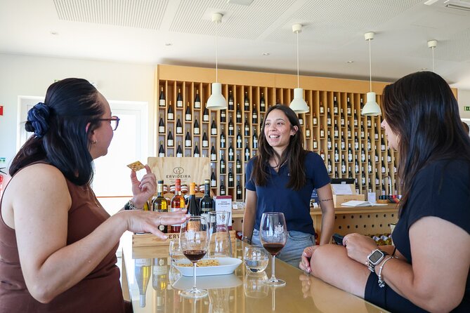 From Lisbon: Évora, Chapel of Bones & Alentejo Wine - Small Group - The Alentejo winery stop: four wines and local bites