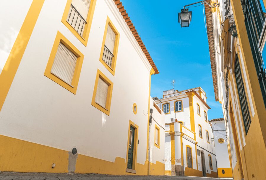 From Lisbon: Évora + Chapel of Bones + Monsaraz + Alentejo Wines - Alentejo wine tasting: why this stop is more than sipping
