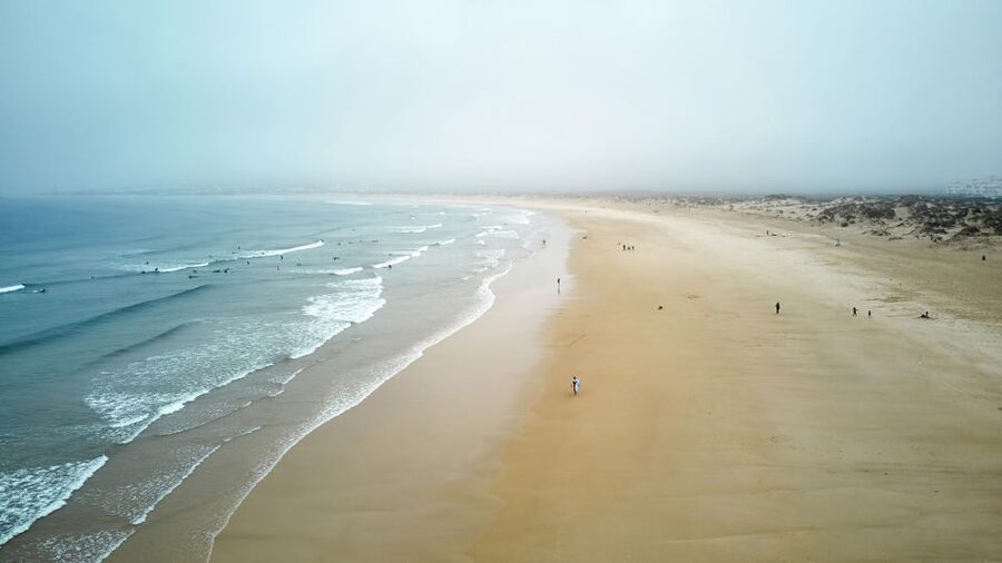 From Lisbon: Fatima, Nazare, and Obidos 8-People Group Tour - What the 8-person van setup changes (for the better)