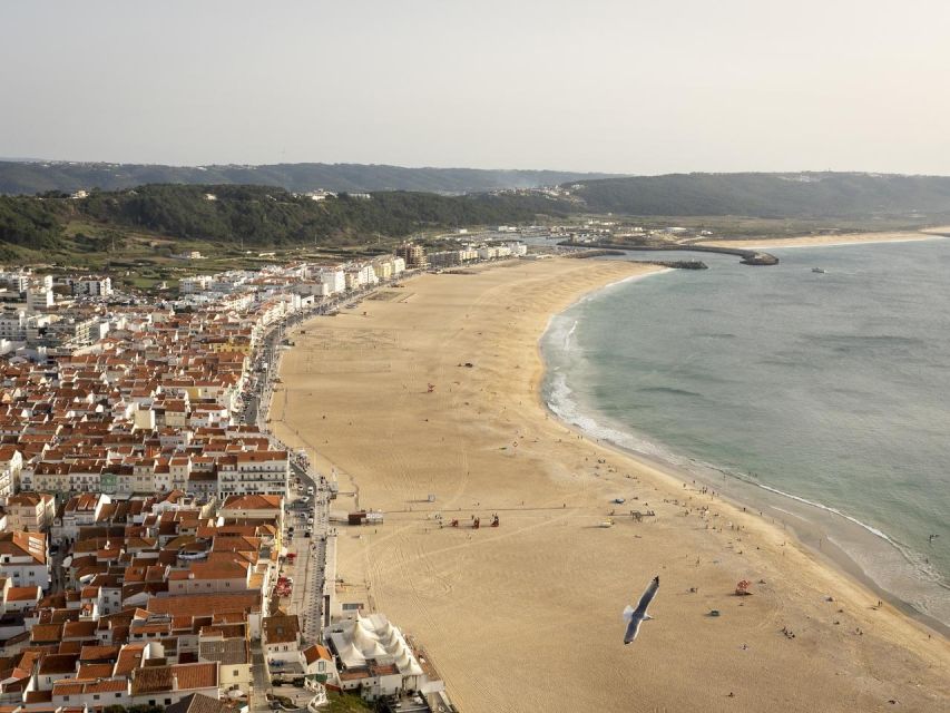 From Lisbon: Fátima, Nazaré and Sintra Guided Tour - Key things that make this tour tick