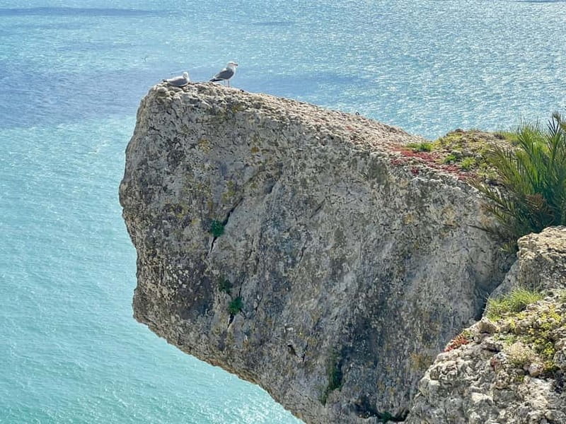 From Lisbon: Fátima, Nazaré & Óbidos Special Van Tour - Price and Value: Is $94 Actually a Good Deal?