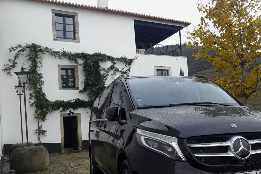 From Lisbon: Full-Day Sintra Tour by Luxury Car or Minivan - Quinta da Regaleira: the gardens that feel like a puzzle