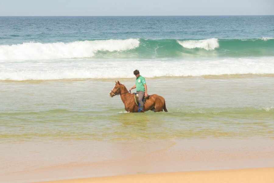 From Lisbon: Horseback Riding on Comporta Beach - Getting from Lisbon to Comporta: the drive you should budget