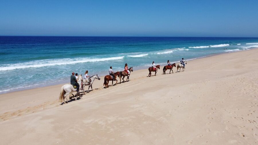 From Lisbon: Horseback Riding on Comporta Beach - Should you book this horseback ride from Lisbon?