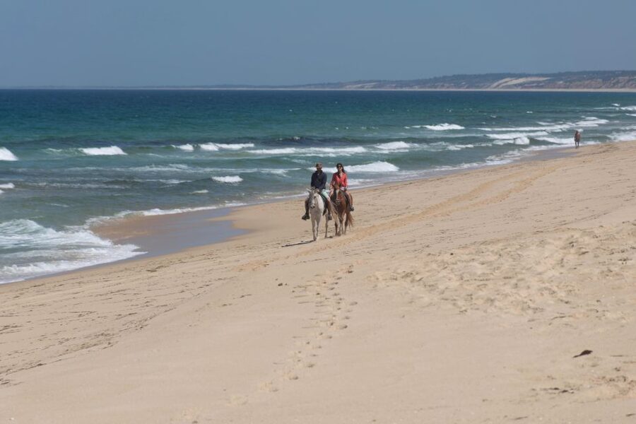 From Lisbon: Horseback Riding on Comporta Beach - What’s included (and what isn’t): equipment, transfer, and optional photos
