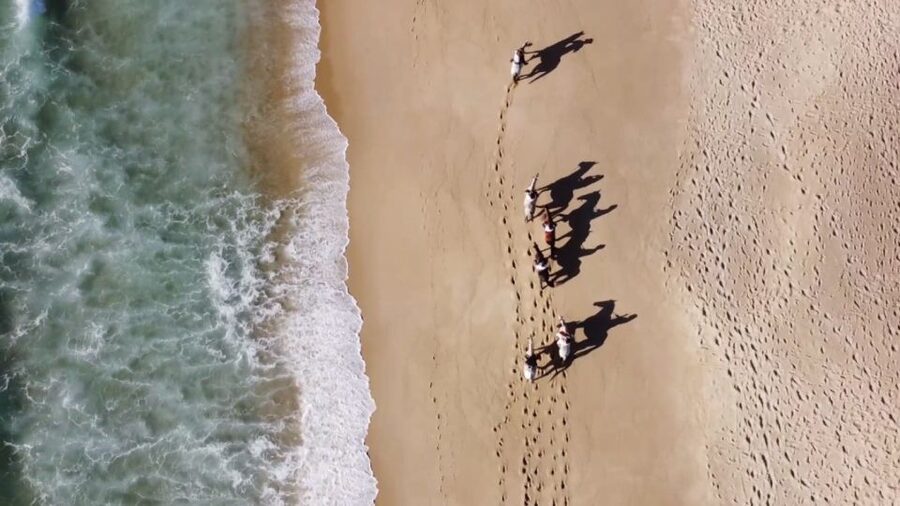 From Lisbon: Horseback Riding on Comporta Beach - Small group matters: max 10 riders and a calm instructor-led vibe