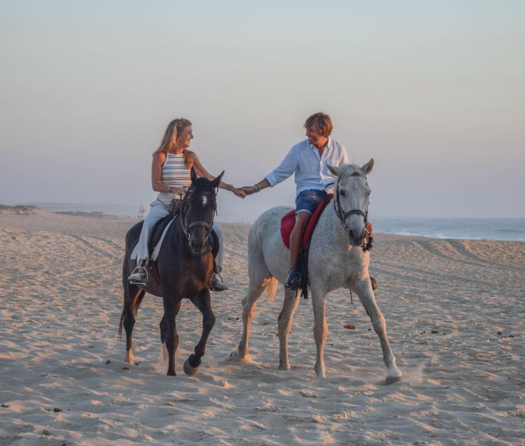 From Lisbon: Horseback Riding on Comporta Beach - Price and value check at $165 per person