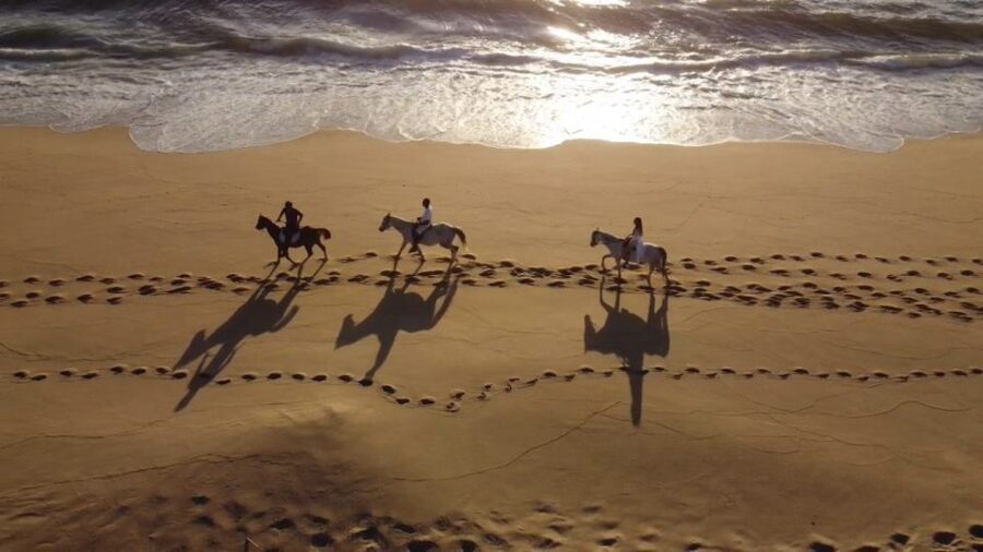 From Lisbon: Horseback Riding on Comporta Beach - Atlantic Forest to beach dunes: how the ride builds momentum