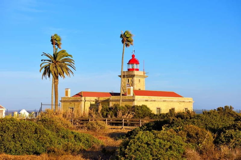 From Lisbon: Lagos & Albufeira Day Tour in the Algarve - Lagos With a Local Guide, Plus Room to Breathe