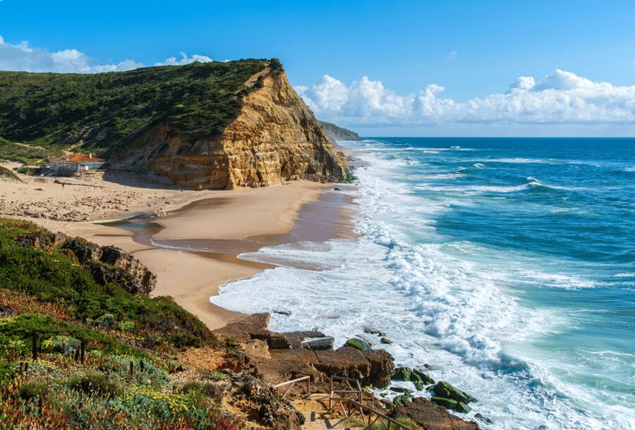 From Lisbon: Mafra Palace and Ericeira - Heritage and the Portuguese Coast - Timing from Lisbon: smooth transfers, not a full-day slog