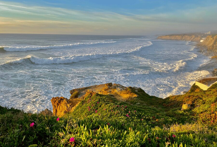 From Lisbon: Mafra Palace and Ericeira - Heritage and the Portuguese Coast - Comfort and group size: private or small group usually changes everything