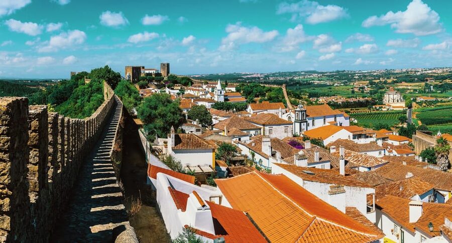 From Lisbon: Nazare Big Waves & Óbidos Small Group Tour - Price and What You Get for $74