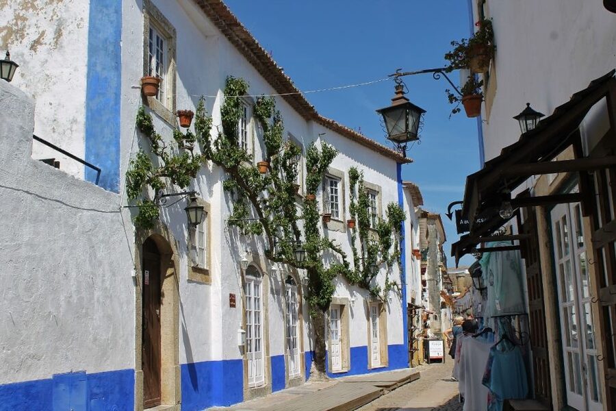 From Lisbon: Óbidos and Mafra Palace Private Tour - Óbidos Walls and Ginjinha Stops: why this town feels different