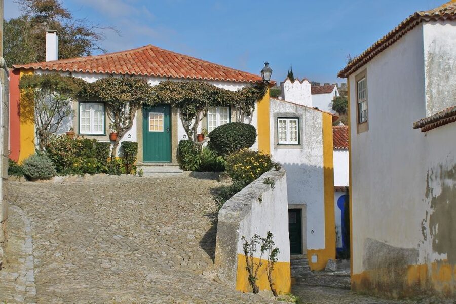 From Lisbon: Óbidos and Mafra Palace Private Tour - Private guide and skipping the ticket line: where the real value hides