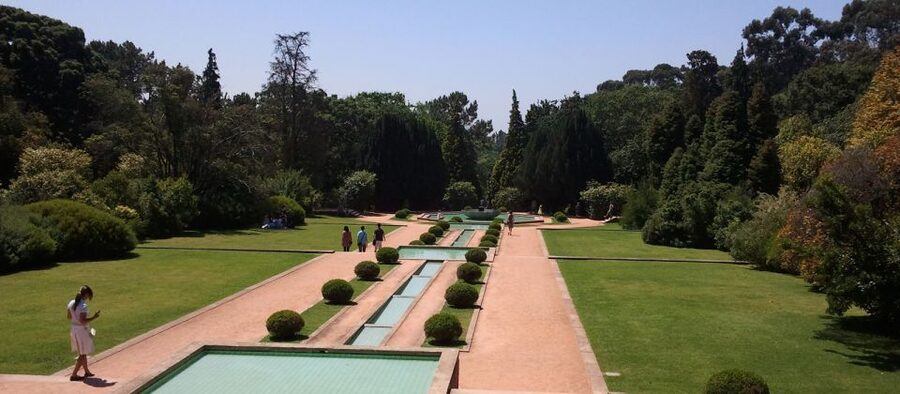 From Lisbon: Porto Private Full-Day Tour - Port wine tasting: more than a sip