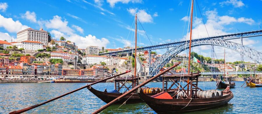 From Lisbon: Porto Private Full-Day Tour - Logistics that can make or break a long day