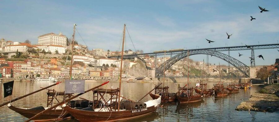From Lisbon: Porto Private Full-Day Tour - Price and value: is $730 per group a smart deal?