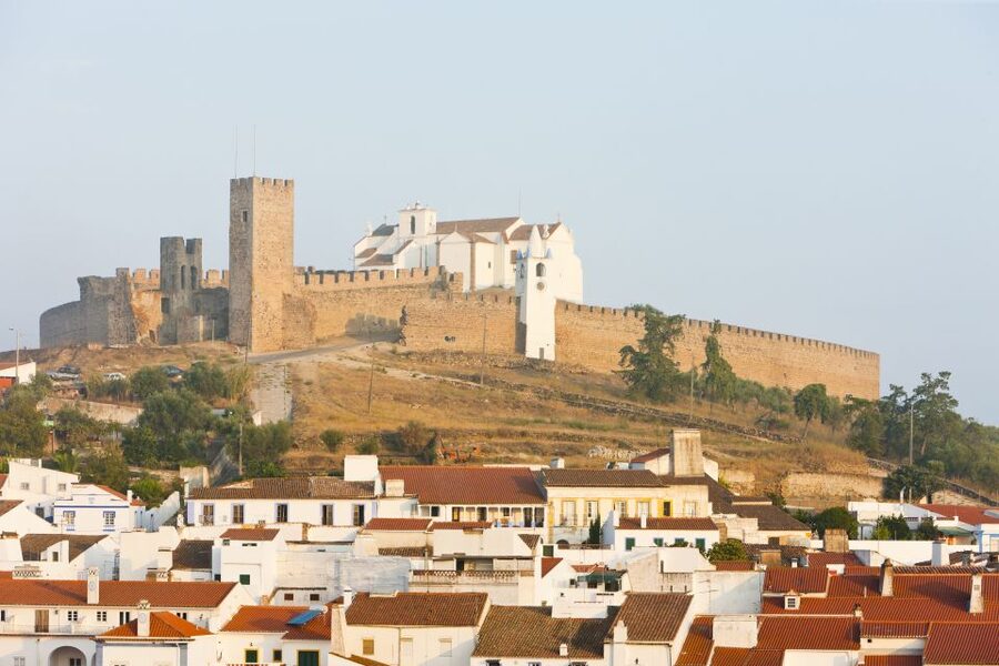 From Lisbon: Private Customized Small-Group Tour to Evora - Customizing beyond the big sights: cork processing and wine time