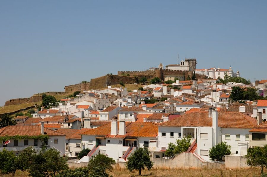 From Lisbon: Private Customized Small-Group Tour to Evora - Practical tips for an 8-hour Évora day