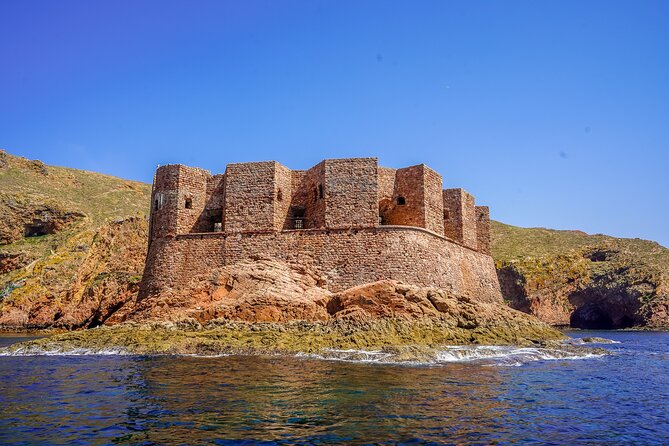 from Lisbon: Private Full Day Tour to Berlengas Island - Lisbon Pickup That Actually Saves Time