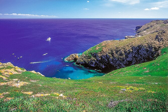 from Lisbon: Private Full Day Tour to Berlengas Island - Baleal Beach Stop: A Quick Horizon Check