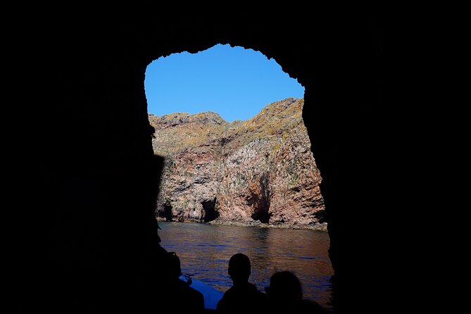 from Lisbon: Private Full Day Tour to Berlengas Island - The Road North: Autoestrada do Oeste and a Peniche Head-Start