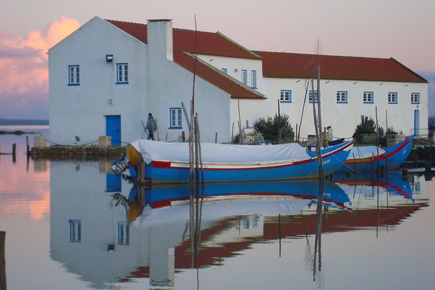 From Lisbon: Private Scenic Wine Tour in Arrabida - Price and logistics: what you’re really paying for at $338 per person