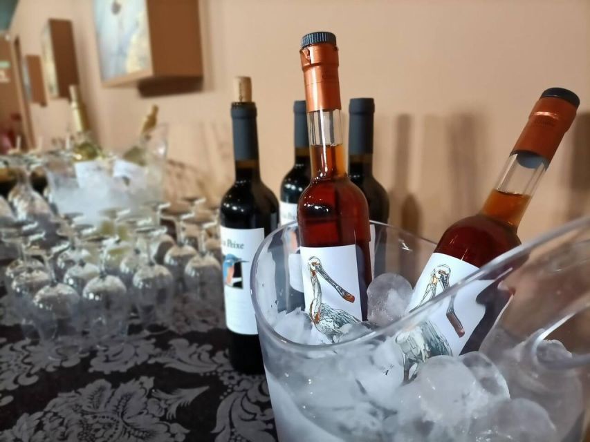 From Lisbon: Private Scenic Wine Tour in Arrabida - Who this tour fits best (and who might want something else)