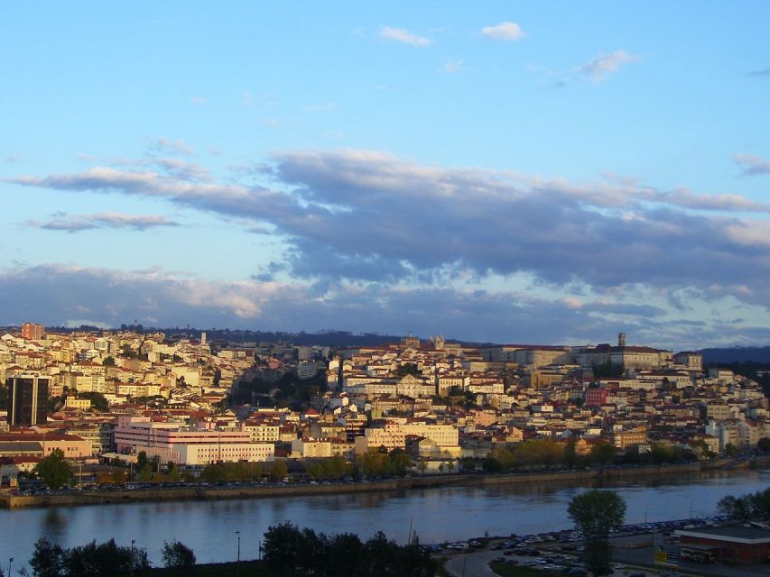 From Lisbon: Private Transfer to Porto with City Stops - Your driver matters more than you think