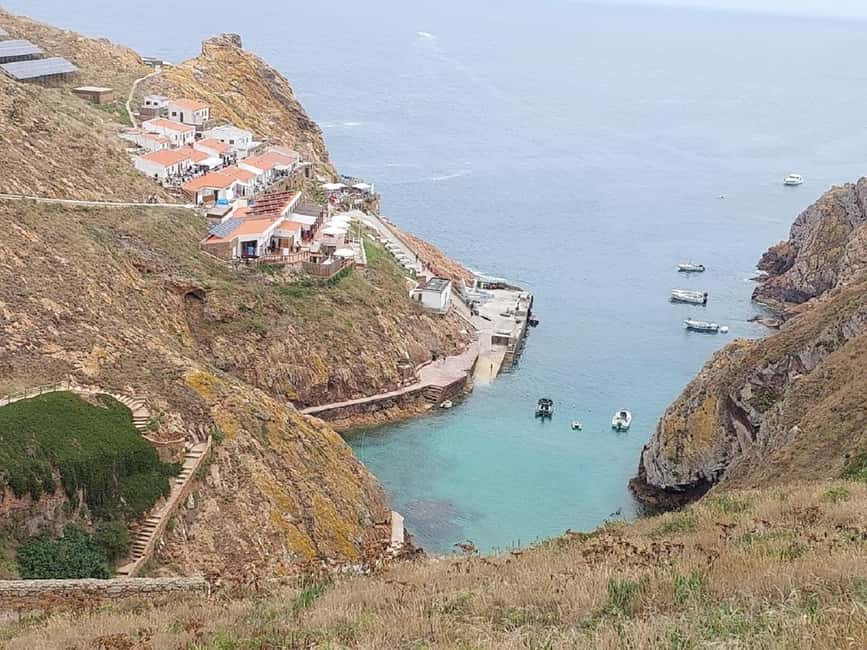 From Lisbon : Round trip to Peniche, Berlengas. - Price and Value: Is $100 a Fair Deal for This Day?